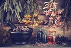 در مورد تداخل داروهای گیاهی بیشتر بدانیم