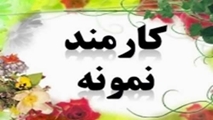 تقدیر از دو کارمند بیمارستان ابن‌سینا شیراز در آیین تقدیر از کارمندان نمونه دانشگاه علوم پزشکی در سال ۱۴۰۳